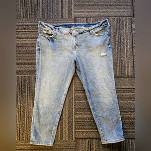 Silver Jeans- Plus Size Skinny Jeans (short)